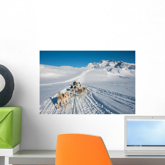 Dog sledding tour in Tasiilaq, Greenland Wall Mural