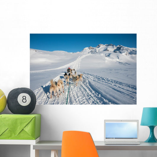 Dog sledding tour in Tasiilaq, Greenland Wall Mural