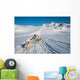 Dog sledding tour in Tasiilaq, Greenland Wall Mural