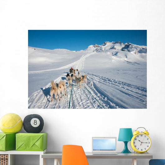 Dog sledding tour in Tasiilaq, Greenland Wall Mural