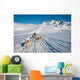 Dog sledding tour in Tasiilaq, Greenland Wall Mural
