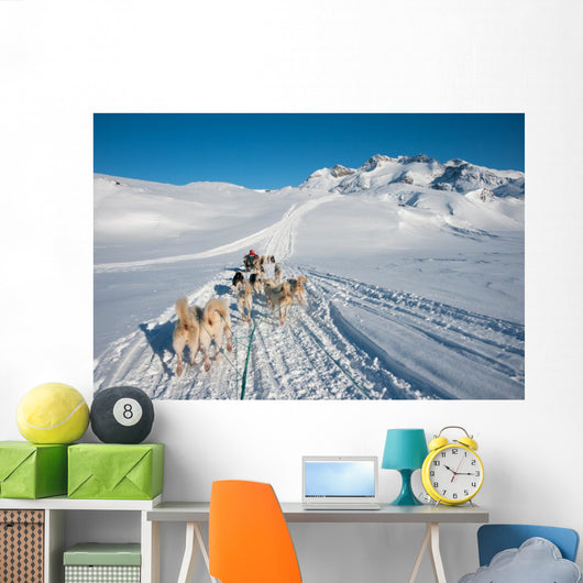 Dog sledding tour in Tasiilaq, Greenland Wall Mural
