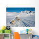 Dog sledding tour in Tasiilaq, Greenland Wall Mural