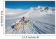 Dog sledding tour in Tasiilaq, Greenland Wall Mural
