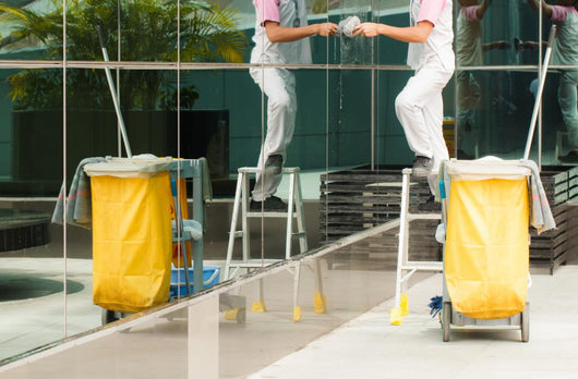 Cleaning Wall Mural