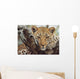 Big Cat Wall Mural