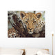 Big Cat Wall Mural
