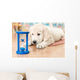 labrador retriever puppy Wall Mural