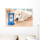 labrador retriever puppy Wall Mural