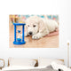 labrador retriever puppy Wall Mural