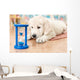 labrador retriever puppy Wall Mural