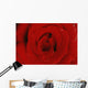 Red Rose Wall Mural