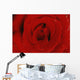 Red Rose Wall Mural
