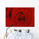 Red Rose Wall Mural