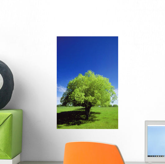Tree In The Middle Of A Field Wall Mural
