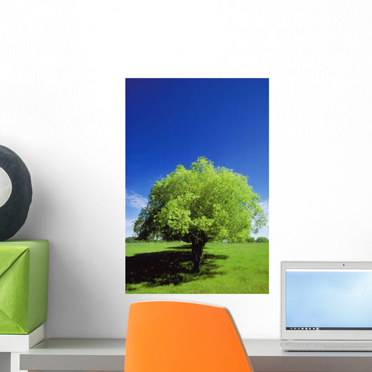 Tree In The Middle Of A Field Wall Mural