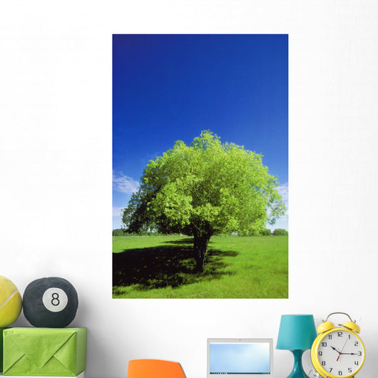 Tree In The Middle Of A Field Wall Mural