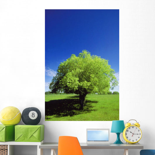 Tree In The Middle Of A Field Wall Mural