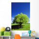 Tree In The Middle Of A Field Wall Mural