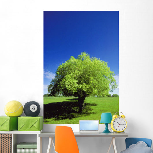 Tree In The Middle Of A Field Wall Mural