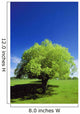 Tree In The Middle Of A Field Wall Mural