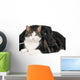 Portrait Cat and Dog