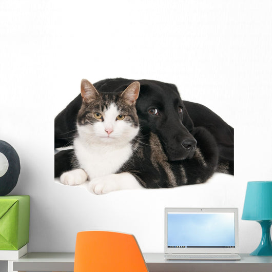Portrait Cat and Dog