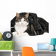 Portrait Cat and Dog