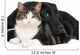 Portrait Cat and Dog