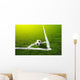 Soccer grass field with marking and ball, Sport Wall Mural