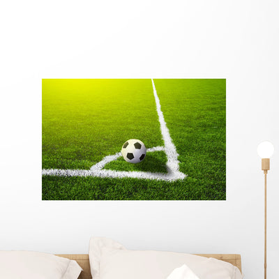Soccer Grass Field with Wall Mural shown on a wall