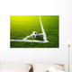 Soccer grass field with marking and ball, Sport Wall Mural