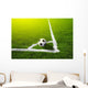 Soccer grass field with marking and ball, Sport Wall Mural