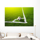 Soccer grass field with marking and ball, Sport Wall Mural