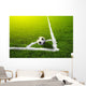 Soccer grass field with marking and ball, Sport Wall Mural