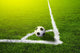 Soccer grass field with marking and ball, Sport Wall Mural
