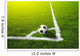 Soccer grass field with marking and ball, Sport Wall Mural