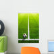 Soccer grass field with marking and ball, Sport Wall Mural