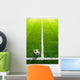 Soccer grass field with marking and ball, Sport Wall Mural