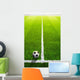 Soccer grass field with marking and ball, Sport Wall Mural