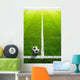 Soccer grass field with marking and ball, Sport Wall Mural