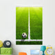 Soccer grass field with marking and ball, Sport Wall Mural