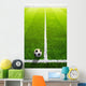 Soccer grass field with marking and ball, Sport Wall Mural