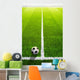 Soccer grass field with marking and ball, Sport Wall Mural
