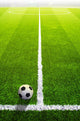 Soccer grass field with marking and ball, Sport Wall Mural