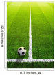 Soccer grass field with marking and ball, Sport Wall Mural
