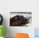 Hippo Portrait Wall Mural