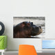 Hippo portrait Wall Mural