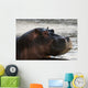 Hippo portrait Wall Mural