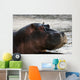 Hippo portrait Wall Mural